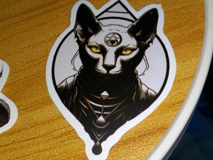 Cool one new vinyl lap top sticker no refunds regular mail very nice quality!