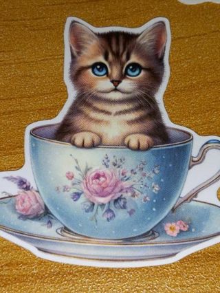 Cat Cute nice one small vinyl sticker no refunds regular mail only Very nice quality!