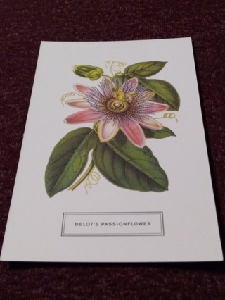 Botanical Postcard - BELOT'S PASSIONFLOWER