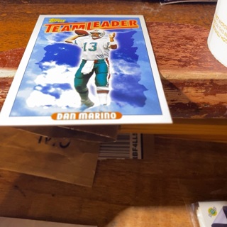 1993 topps team ldrs dan Marino football card 