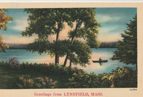 Vintage Unused Postcard: Linen: y: Greetings from Lynnfield, MA