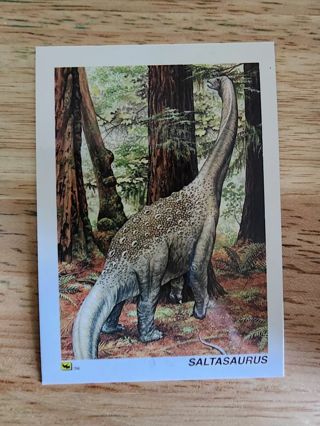 1992 Dinocardz #17