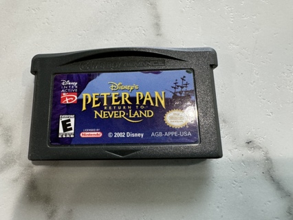  Vintage Nintendo Gameboy Peter Pan NeverLand