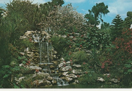 Vintage Unused Postcard: x: Florida's Cypress Gardens