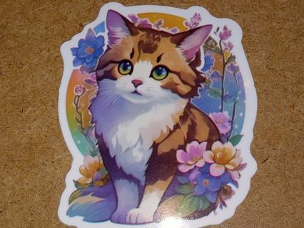 Cat 1⃣ New Cute vinyl sticker no refunds regular mail only Very nice quality!