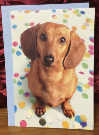 Congratulations Dog Design Card