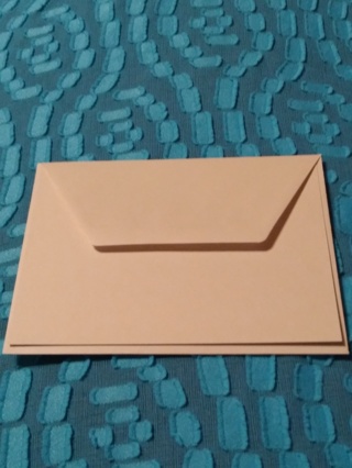 Beige Flat Notecards & Envelopes