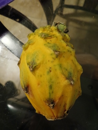 Yellow Dragonfruit - 5 Seeds