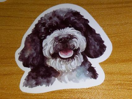 Dog new one vinyl laptop sticker no refunds regular mail no lower very nice