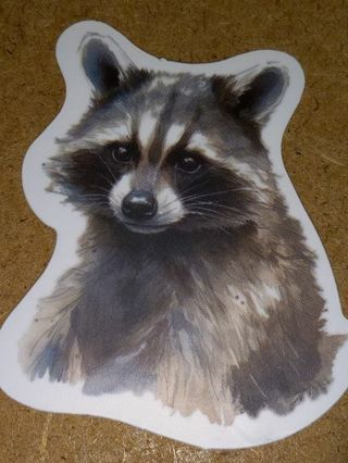 Raccoon one nice vinyl lab top sticker no refunds regular mail high quality!