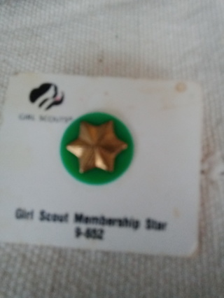 1970's Girl Scout Membership Star Pin