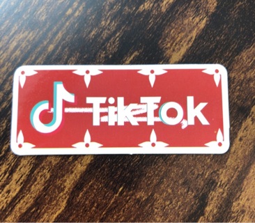 TikTok Vinyl Sticker 