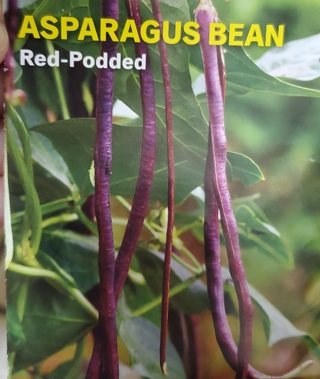 Red Podded Asparagus Bean
