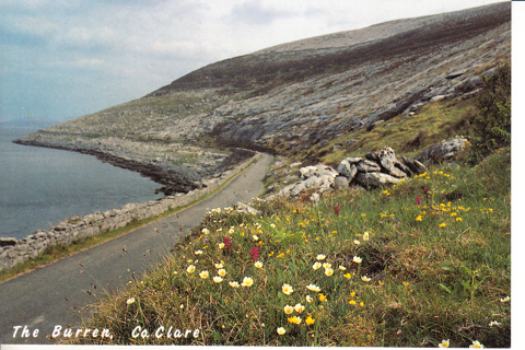 Vintage Postcard Burren Region, Ireland