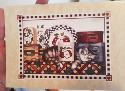 Card w/Envelope - Cat themed