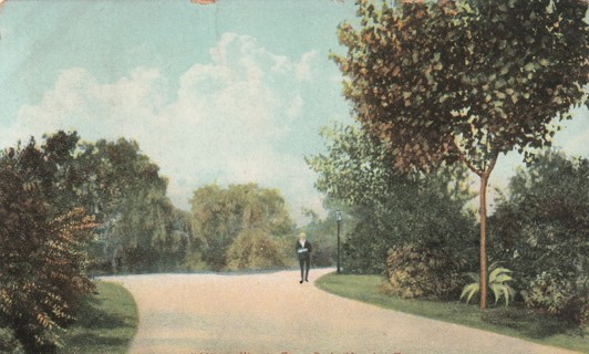 Vintage Used Postcard: 1909 Forest Park, Memphis, TN