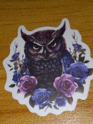 Pretty new one small vinyl lap top sticker no refunds regular mail very nice quality