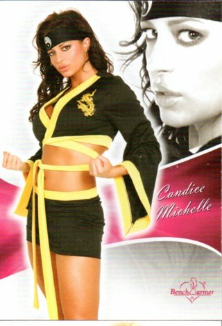 2011 Benchwarmer Candice Michelle WWE