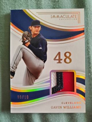 2023 Panini Immaculate Collection Jersey Numbers Materials Holo Gold Gavin Williams