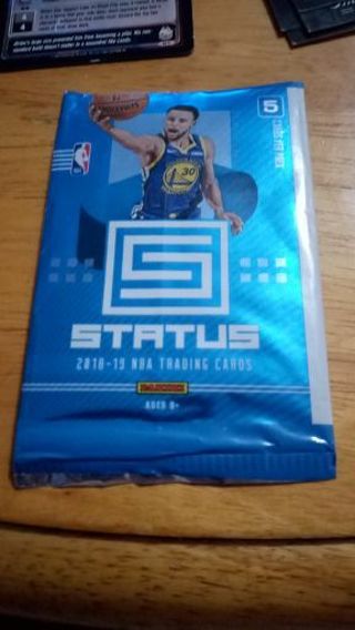 2018-19 Panini Status