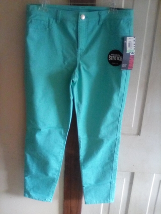 "NWT STYLE & CO. TUMMY CONTROL ANKLE PANT"