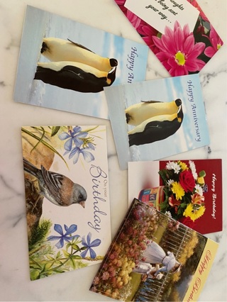 Greetings Cards (5)