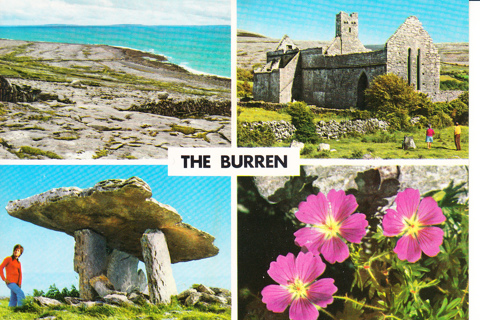 Vintage Postcard Burren, Ireland