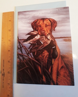 Hunting Dog Card (with Envelope)