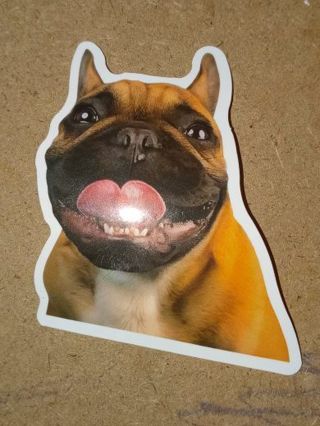 Dog Cute one sticker no refunds regular mail only Very nice quality! Win 2 or more get bonus