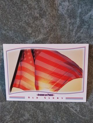 American Pride Sticker Trading Card # 17