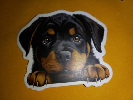 Dog one new nice vinyl lab top sticker no refunds regular mail high quality!