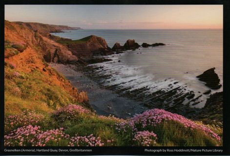 Postcard - National Geograhpic Magic nature - #43 - Great Britain 