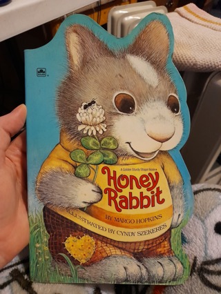 Honey Rabbit....a child's book about springtime.