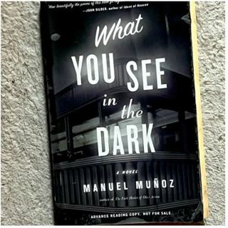 What You See in the Dark (used book)