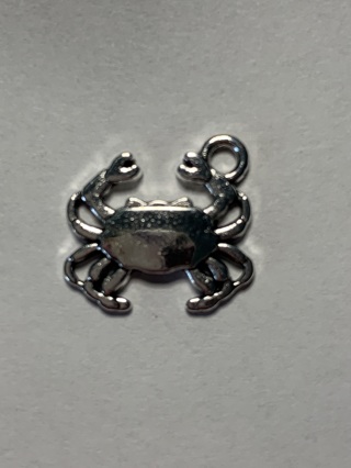 MARINE LIFE/OCEAN CHARMS~#13~ANTIQUE SILVER~FREE SHIPPING!