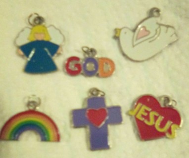 6 enameled charms 