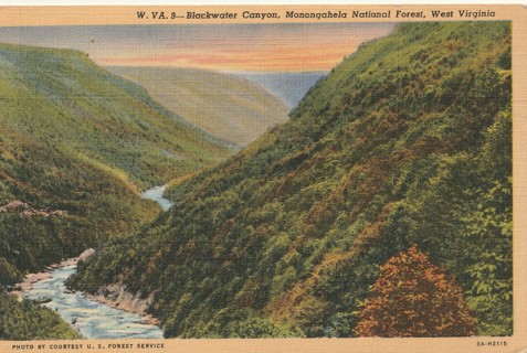 Vintage Unused Postcard: (d) Linen: Blackwater Canyon, Monongahela National Forest, WV