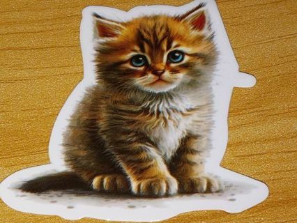 Cat new one vinyl laptop sticker no refunds regular mail nice quality