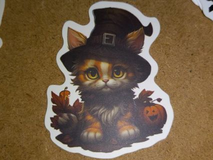 Cat Cute one nice vinyl sticker no refunds I send all regular mail only nice quality