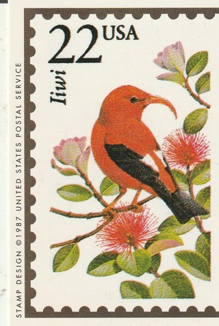 Vintage Wildlife America Collector/Trade Card: Iiwi