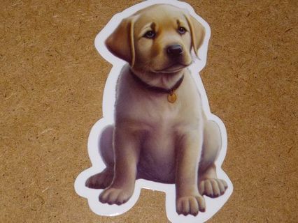 Dog one new nice vinyl lab top sticker no refunds regular mail high quality!