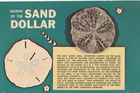 Vintage Unused Postcard: v: Legend of the Sand Dollar