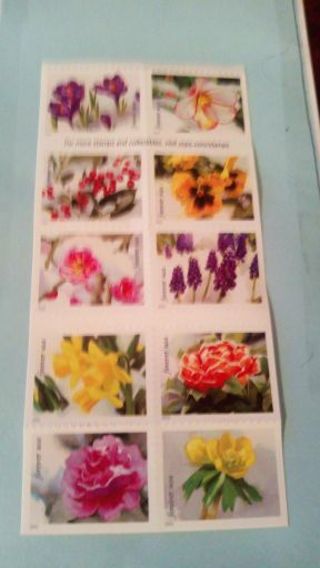 10- FOREVER US POSTAGE STAMPS.... FLOWERS