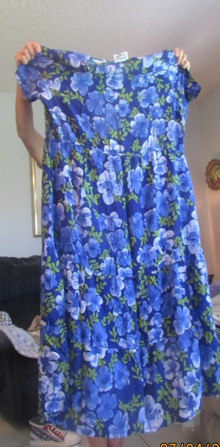 LONG DRESS  SIZE 2X