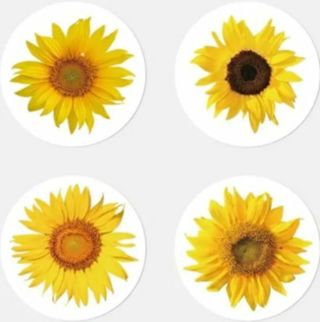 ⭐(8) 1" Sunflower stickers 