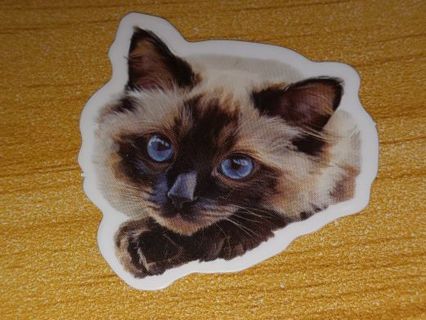 Cute new one small vinyl lap top sticker no refunds regular mail very nice quality