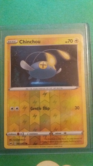 chinchou card free shipping