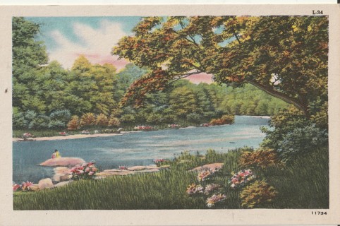 Vintage Unused Postcard: e: Scenery