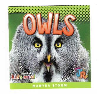 Braum's Kids Book about Owls