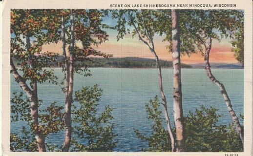 Vintage Used Postcard: b: Scene on Lake Shishebogama near Minocque, WI